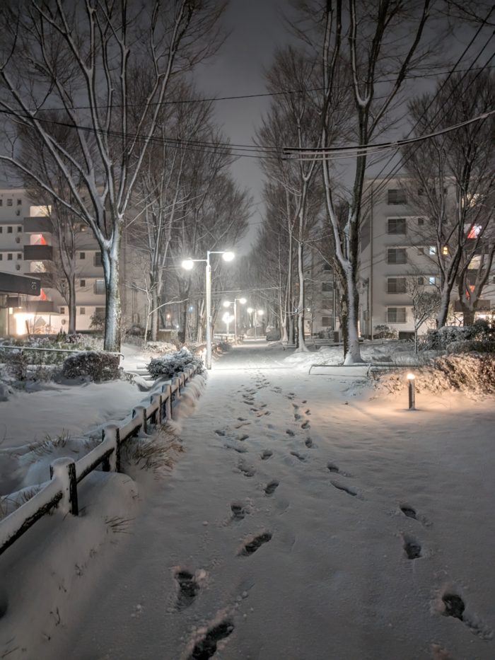 京都の雪えぐいin2023年
