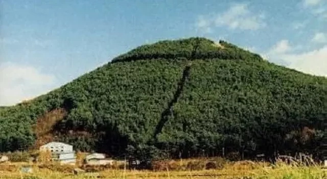 32歳になりました。股旅/奥田民生