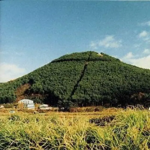 32歳になりました。股旅/奥田民生